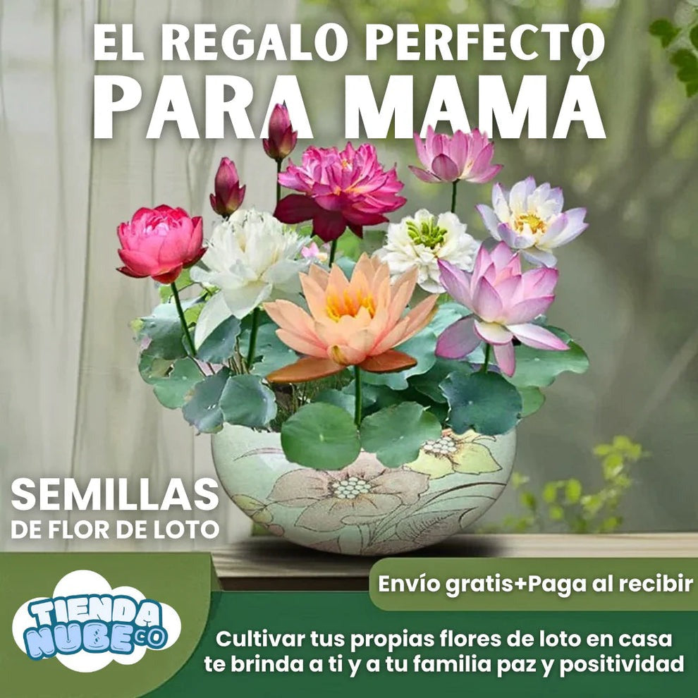 🌳SEMILLAS ASIÁTICAS PREMIUM : FLOR DE LOTO™ + E-BOOK PASO A PASO PARA CULTIVAR
