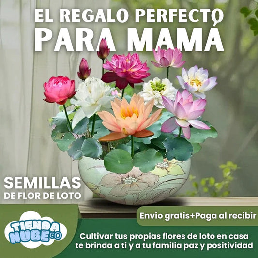 🌳SEMILLAS ASIÁTICAS PREMIUM : FLOR DE LOTO™ + E-BOOK PASO A PASO PARA CULTIVAR